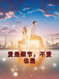 抖音爆款爱是细节，不爱也是小说免费阅读