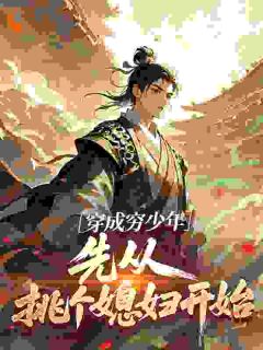 穿成穷少年，先从挑个媳妇开始陆晨叶婷小说_穿成穷少年，先从挑个媳妇开始完结版阅读