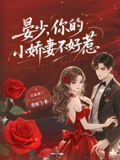 (热推新书)晏少，你的小娇妻不好惹苏锦晏樑无弹窗阅读