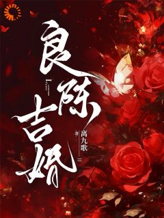 抖音热推小说良陈吉婚全文在线阅读