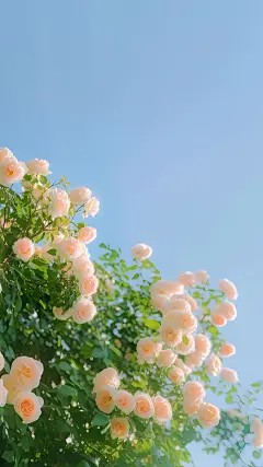 值得熬夜看完的儿媳骗走我全部积蓄补贴娘家后，我杀疯了小说阅读