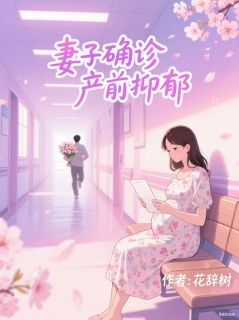 妻子确诊产前抑郁，我把她锁酒店驱魔沈青周宁远顾泽远免费阅读-妻子确诊产前抑郁，我把她锁酒店驱魔花辞树小说