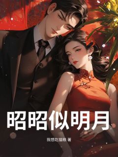 昭昭似明月(新书)大结局在线阅读