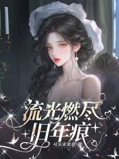 流光燃尽旧年痕小说-秦瑾沈康成全篇阅读