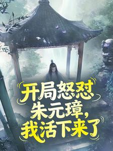 秦夜朱元璋小说抖音热文开局怒怼朱元璋,我活下来了完结版