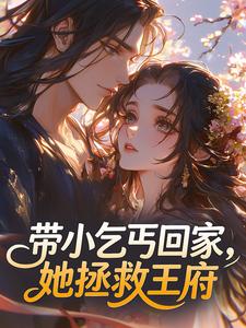 快手岁岁沈婉主角的小说全本章节大结局