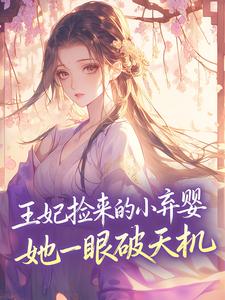 好看的王妃捡来的小弃婴，她一眼破天机小说，主角糯糯沈清辞最新章节阅读