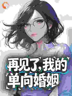 精选好书再见了，我的单向婚姻无删减版全文在线