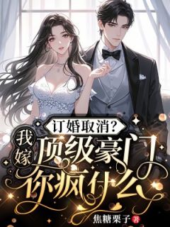 订婚取消？我嫁顶级豪门你疯什么快手热推叶云昭顾瑾轩免费阅读