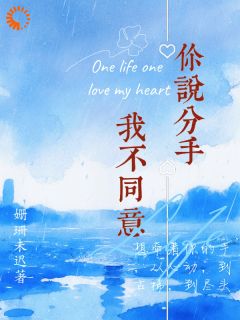 老书虫看了N遍的一场车祸，把我的人生撞偏航了最新章节-暗夜阅读网