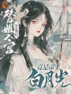 解虫写的小说替姐入宫争宠后，竟是帝王白月光宋芜赵栖澜全文阅读-暗夜阅读网