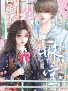 装乖小狗是阴湿，笨蛋妹宝骗亲亲【全章节】鹿聆池聿完结版免费阅读-暗夜阅读网