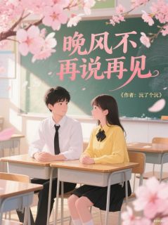 晚风不再说再见by沅了个沅(林晚顾迟禹)未删节免费阅读