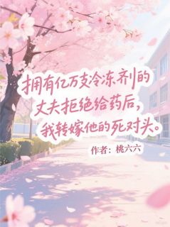 （好书推荐）拥有亿万支冷冻剂的丈夫拒绝给药后，我转嫁他的死对头小说最新章节小说全文阅读