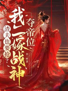 抖音小说渣夫也要抢?我二嫁战神夺帝位,主角沈傲枝柳清安最后结局小说全文免费