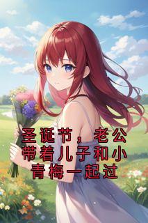 圣诞节，老公带着儿子和小青梅一起过小说-圣诞节，老公带着儿子和小青梅一起过抖音小说秦维青梅