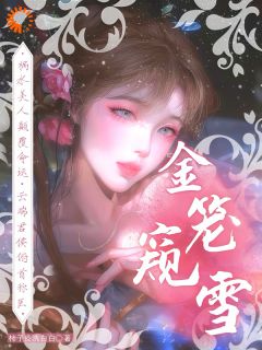 主角柳汝雪王琰小说,金笼窥雪免费阅读全文