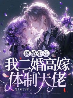 小说推荐离婚带娃，我二婚高嫁体制大佬完结版全章节阅读