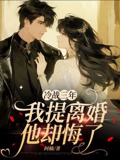 爆款小说由作者阿楠所创作的冷战三年,我提离婚他却悔了在线阅读