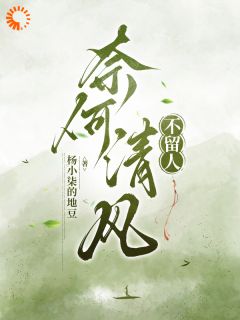 奈何清风不留人江挽清萧长风大结局小说全章节阅读