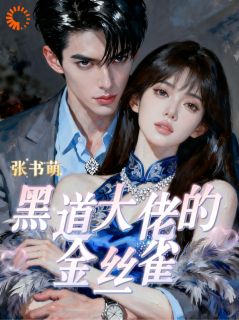 张书萌写的小说黑道大佬的金丝雀在线阅读
