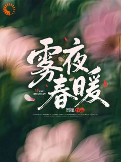 抖音爆款小说强取豪夺?商总,我求你别追了!鹿晚商宴珩免费txt全文阅读