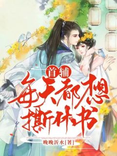 纪挽朝陆聿怀小说首辅每天都想撕休书全文阅读