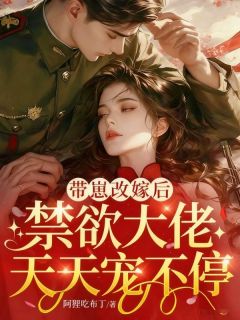 苏锦棠盛淮州阿狸吃布丁小说全章节最新阅读