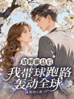 错睡霸总后,我带球跑路轰动全球云微岚秦承弈-小说未删减阅读