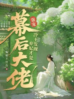 强宠!冷王发现弃妃才是幕后大佬(全章节)-洛晨曦赢王在线阅读