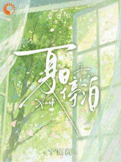 抖音小说夏日停泊林浅池砚全文txt