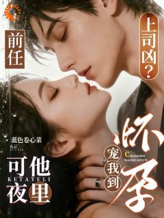 前任上司凶?可他夜里宠我到怀孕小说(完本)-南枳沈胤无错版阅读-暗夜阅读网