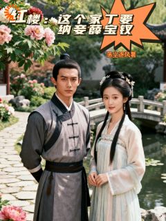红楼:这个家丁要纳妾薛宝钗(曾秦莺儿)精彩小说目录阅读