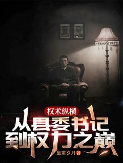 权术纵横：从县委书记到权力之巅王洋李春阳小说完整在线阅读-暗夜阅读网