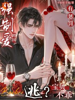 跨国强制爱:逃?宝贝不乖有惩罚(温昭棠西维曜霆)全文章节在线阅读-暗夜阅读网