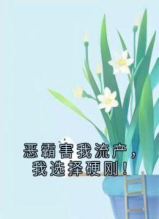 恶霸害我流产，我选择硬刚！舒愿许瞻远免费全章节目录阅读