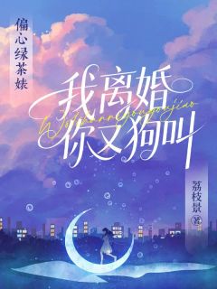 姜时愿沈裴忌(原文完整)二嫁禁欲掌权人，前夫他跪求当小三无弹窗免费阅读