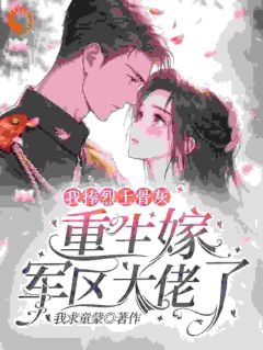 我捧烈士骨灰,重生嫁军区大佬了小说-我捧烈士骨灰,重生嫁军区大佬了抖音小说林夏楠陆铮