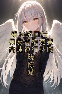 错过路口后,男友青梅竟要高速逆行林晓晓陈斌小说最后结局,林晓晓陈斌百度贴吧小说全文免费