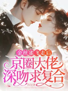 精彩小说沈熹宋征金丝雀飞走后,京圈大佬深吻求复合全文目录畅读