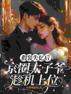 (热推新书)假装失忆后,京圈太子爷趁机上位林疏颜周照野无弹窗阅读