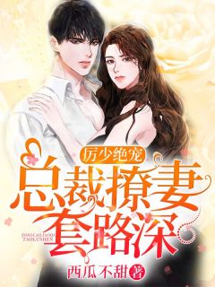 良心推荐厉少绝宠：总裁撩妻套路深小说试读