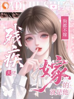 火爆残疾大佬狗都不！嫁！嫁的就是他小说，主角是林稚晏清在线阅读全文无删减