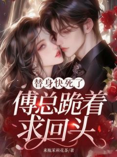 替身快死了,傅总跪着求回头全文目录-姜晚傅凛慎小说无弹窗阅读