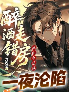 (独家)醉酒走错房,冰山女总裁一夜沦陷陈凡苏傲雪小说