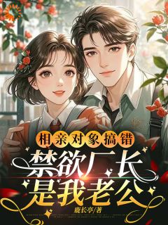 无广告小说相亲对象搞错，禁欲厂长是我老公-林子衿杨青秋在线阅读