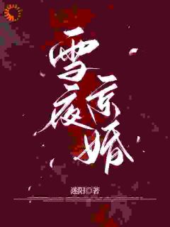 苏黎周斯辰雪夜京婚小说完整版-暗夜阅读网