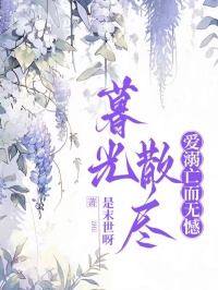 暮光散尽,爱溺亡而无憾小说的书名是什么