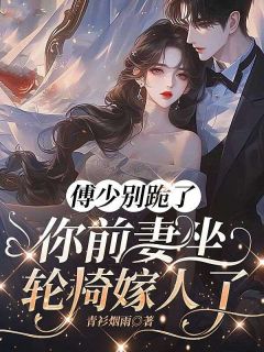 傅少别跪了，你前妻坐轮椅嫁人了宋晩傅靳琛全章节完结版在线阅读