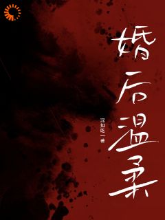 婚后温柔【全章节】沈复汀舒迩完结版免费阅读